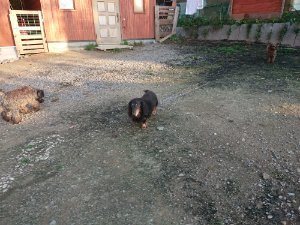 f:id:roukenhome-ann:20181111081255j:plain