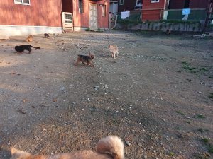f:id:roukenhome-ann:20181111081330j:plain