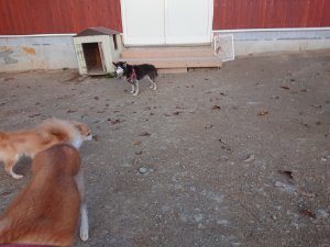 f:id:roukenhome-ann:20181111081334j:plain
