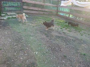 f:id:roukenhome-ann:20181111081346j:plain
