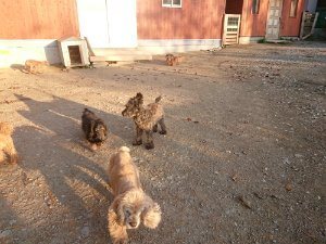 f:id:roukenhome-ann:20181111081349j:plain