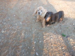f:id:roukenhome-ann:20181111081353j:plain