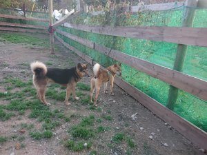 f:id:roukenhome-ann:20181111081357j:plain