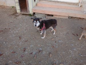 f:id:roukenhome-ann:20181111081405j:plain