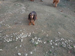 f:id:roukenhome-ann:20181111081408j:plain