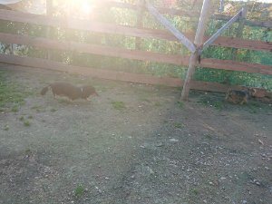 f:id:roukenhome-ann:20181111081412j:plain
