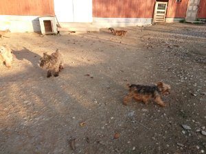 f:id:roukenhome-ann:20181111081416j:plain
