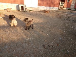 f:id:roukenhome-ann:20181111081420j:plain