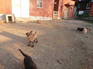 f:id:roukenhome-ann:20181111081425j:plain