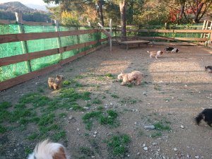 f:id:roukenhome-ann:20181111081513j:plain