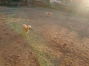 f:id:roukenhome-ann:20181111081520j:plain