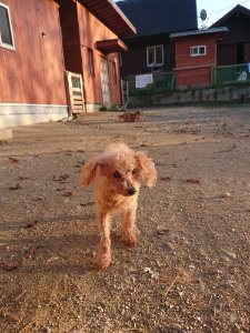 f:id:roukenhome-ann:20181111081528j:plain
