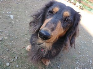 f:id:roukenhome-ann:20181112052717j:plain f:id:roukenhome-ann:20181112052717j:plain