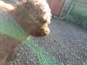 f:id:roukenhome-ann:20181112052724j:plain f:id:roukenhome-ann:20181112052724j:plain