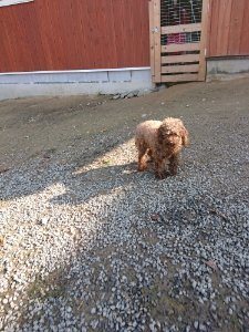f:id:roukenhome-ann:20181112052746j:plain f:id:roukenhome-ann:20181112052746j:plain