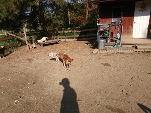 f:id:roukenhome-ann:20181112052757j:plain f:id:roukenhome-ann:20181112052757j:plain