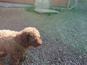 f:id:roukenhome-ann:20181112052808j:plain f:id:roukenhome-ann:20181112052808j:plain