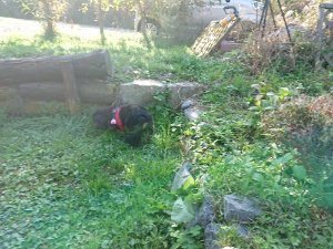 f:id:roukenhome-ann:20181112052819j:plain f:id:roukenhome-ann:20181112052819j:plain