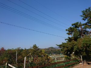 f:id:roukenhome-ann:20181112052823j:plain f:id:roukenhome-ann:20181112052823j:plain