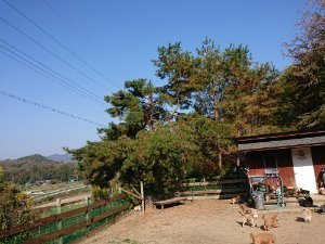 f:id:roukenhome-ann:20181112052826j:plain f:id:roukenhome-ann:20181112052826j:plain
