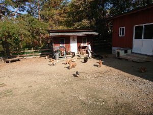 f:id:roukenhome-ann:20181112052833j:plain f:id:roukenhome-ann:20181112052833j:plain