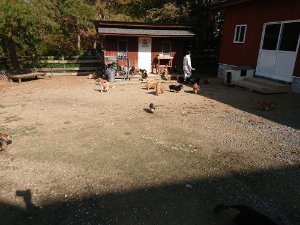 f:id:roukenhome-ann:20181112052839j:plain f:id:roukenhome-ann:20181112052839j:plain