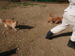 f:id:roukenhome-ann:20181112052850j:plain f:id:roukenhome-ann:20181112052850j:plain