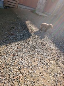 f:id:roukenhome-ann:20181112052857j:plain f:id:roukenhome-ann:20181112052857j:plain