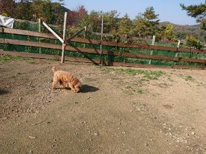 f:id:roukenhome-ann:20181112052901j:plain f:id:roukenhome-ann:20181112052901j:plain