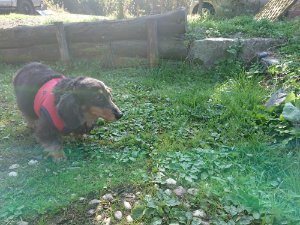 f:id:roukenhome-ann:20181112052912j:plain f:id:roukenhome-ann:20181112052912j:plain