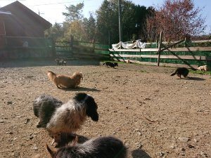 f:id:roukenhome-ann:20181112052935j:plain f:id:roukenhome-ann:20181112052935j:plain