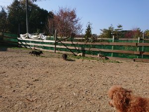 f:id:roukenhome-ann:20181112052938j:plain f:id:roukenhome-ann:20181112052938j:plain