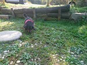 f:id:roukenhome-ann:20181112052946j:plain f:id:roukenhome-ann:20181112052946j:plain