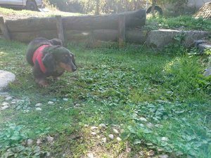 f:id:roukenhome-ann:20181112052950j:plain f:id:roukenhome-ann:20181112052950j:plain