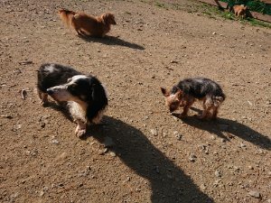 f:id:roukenhome-ann:20181112053014j:plain f:id:roukenhome-ann:20181112053014j:plain