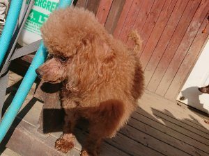 f:id:roukenhome-ann:20181112053024j:plain f:id:roukenhome-ann:20181112053024j:plain
