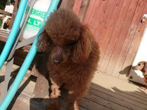 f:id:roukenhome-ann:20181112053028j:plain f:id:roukenhome-ann:20181112053028j:plain