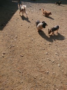 f:id:roukenhome-ann:20181112053035j:plain f:id:roukenhome-ann:20181112053035j:plain