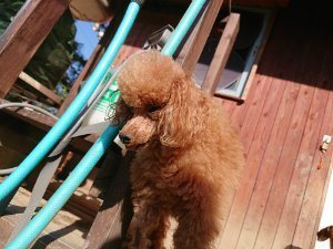 f:id:roukenhome-ann:20181112053043j:plain f:id:roukenhome-ann:20181112053043j:plain