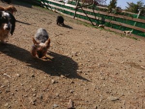 f:id:roukenhome-ann:20181112053047j:plain f:id:roukenhome-ann:20181112053047j:plain