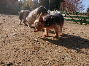 f:id:roukenhome-ann:20181112053057j:plain f:id:roukenhome-ann:20181112053057j:plain