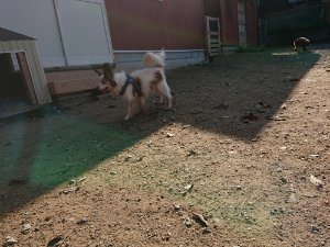 f:id:roukenhome-ann:20181112053101j:plain f:id:roukenhome-ann:20181112053101j:plain