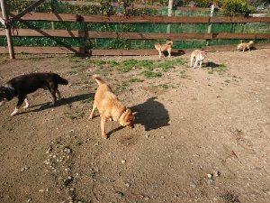 f:id:roukenhome-ann:20181112053105j:plain f:id:roukenhome-ann:20181112053105j:plain