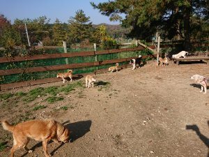 f:id:roukenhome-ann:20181112053109j:plain f:id:roukenhome-ann:20181112053109j:plain