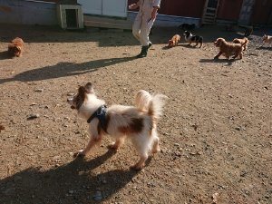 f:id:roukenhome-ann:20181112053246j:plain f:id:roukenhome-ann:20181112053246j:plain