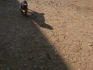 f:id:roukenhome-ann:20181112053249j:plain f:id:roukenhome-ann:20181112053249j:plain