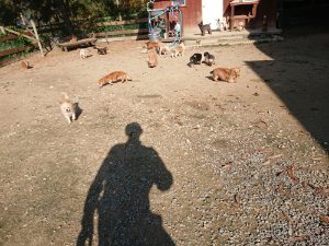 f:id:roukenhome-ann:20181112053253j:plain f:id:roukenhome-ann:20181112053253j:plain