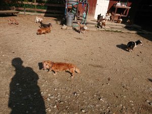 f:id:roukenhome-ann:20181112053257j:plain f:id:roukenhome-ann:20181112053257j:plain