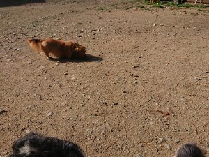 f:id:roukenhome-ann:20181112053312j:plain f:id:roukenhome-ann:20181112053312j:plain