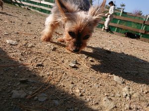 f:id:roukenhome-ann:20181112053334j:plain f:id:roukenhome-ann:20181112053334j:plain